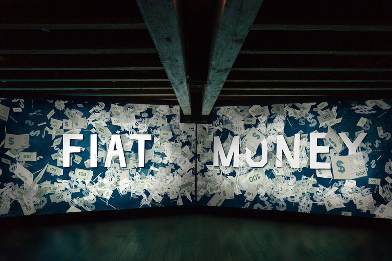 Fiat_Money_Projektion